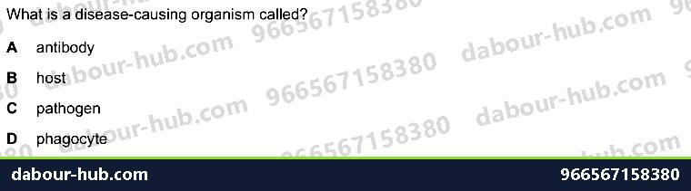 IGCSE Biology 10.1 Antibody - Question 4