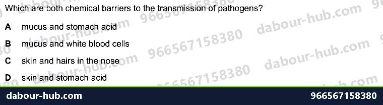 IGCSE Biology 10.1 Antibody - Question 6