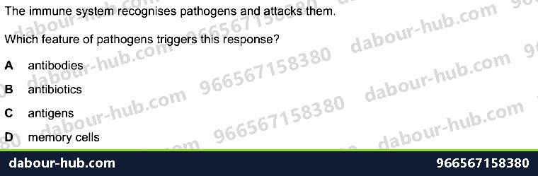 IGCSE Biology 10.1 Antibody - Question 7
