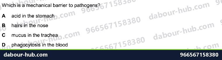 IGCSE Biology 10.1 Antibody - Question 8