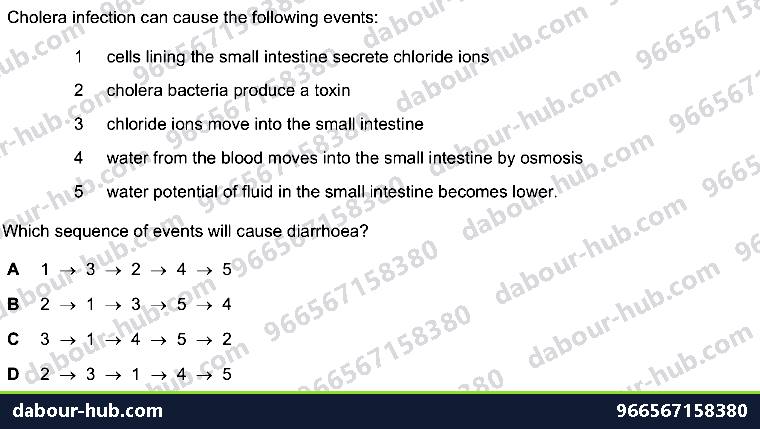 IGCSE Biology 10.3 Cholera Disease - Question 11