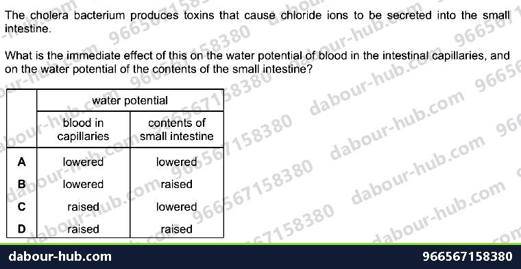 IGCSE Biology 10.3 Cholera Disease - Question 13