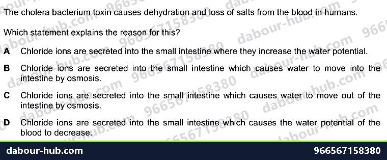 IGCSE Biology 10.3 Cholera Disease - Question 14