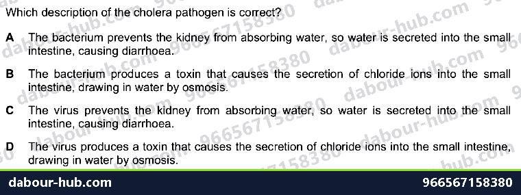 IGCSE Biology 10.3 Cholera Disease - Question 2