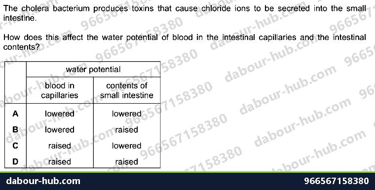IGCSE Biology 10.3 Cholera Disease - Question 3