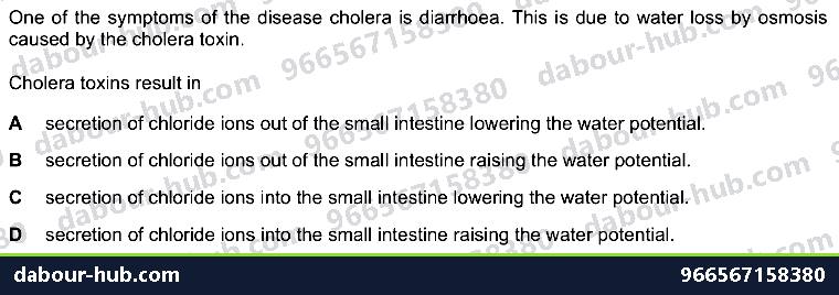 IGCSE Biology 10.3 Cholera Disease - Question 8