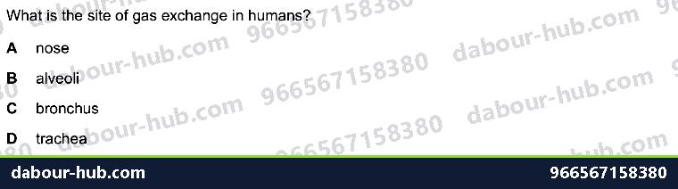 IGCSE Biology 11.1 Gas exchange in humans WITH ALVEOLI - Question 10