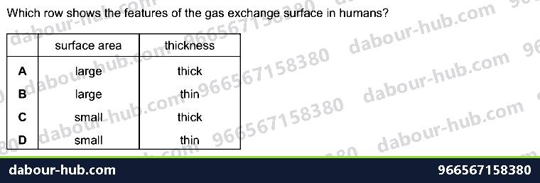 IGCSE Biology 11.1 Gas exchange in humans WITH ALVEOLI - Question 15