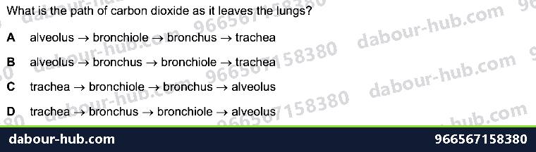 IGCSE Biology 11.1 Gas exchange in humans WITH ALVEOLI - Question 2