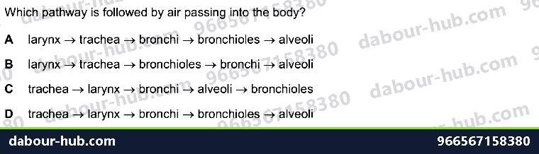 IGCSE Biology 11.1 Gas exchange in humans WITH ALVEOLI - Question 7