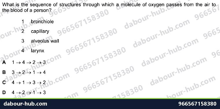 IGCSE Biology 11.1 Gas exchange in humans WITH ALVEOLI - Question 9