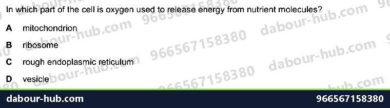 IGCSE Biology 12.1 Respiration - Question 1
