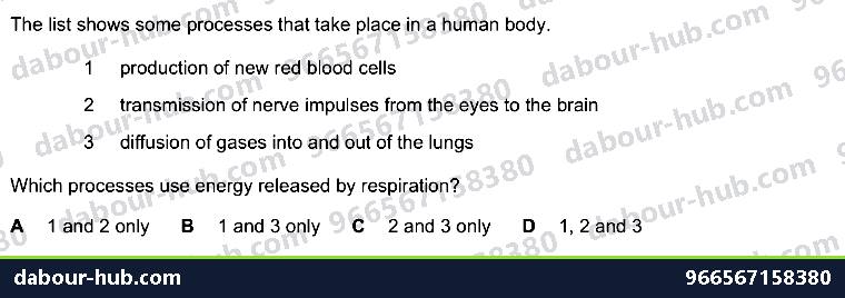 IGCSE Biology 12.1 Respiration - Question 11