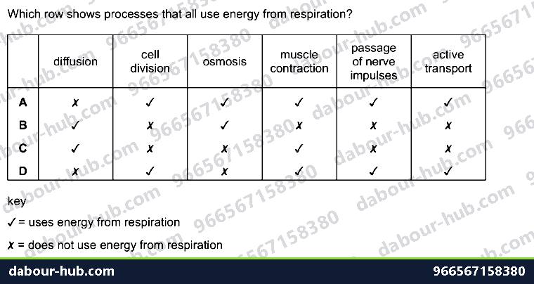IGCSE Biology 12.1 Respiration - Question 14