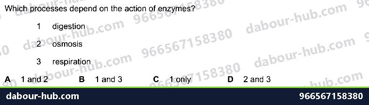 IGCSE Biology 12.1 Respiration - Question 2