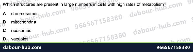 IGCSE Biology 12.1 Respiration - Question 3