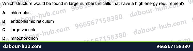 IGCSE Biology 12.1 Respiration - Question 4