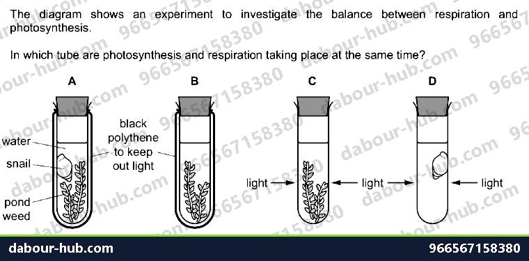 IGCSE Biology 12.1 Respiration - Question 6