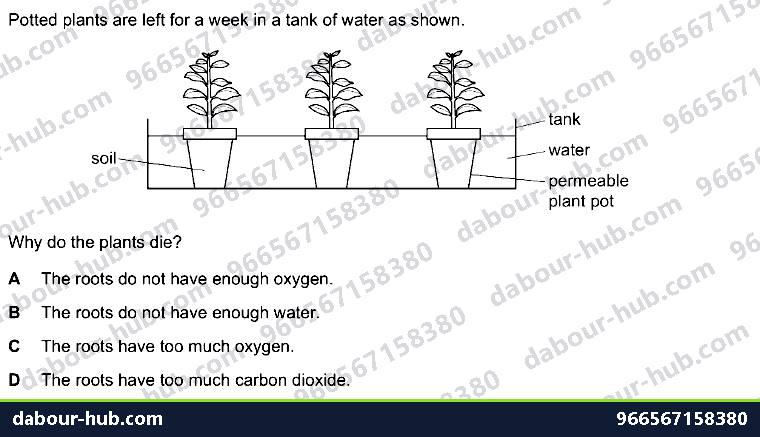 IGCSE Biology 12.1 Respiration - Question 7