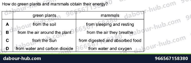 IGCSE Biology 12.1 Respiration - Question 9