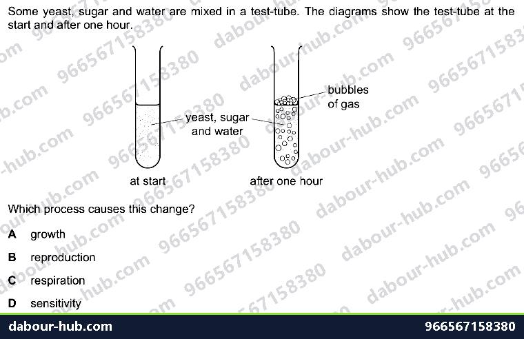 IGCSE Biology 12.2 yeast respiration - Question 1
