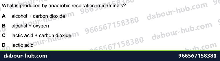 IGCSE Biology 12.4 Anaerobic respiration, LACTIC ACID - Question 7