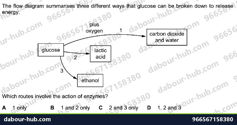 IGCSE Biology 12.4 Anaerobic respiration, LACTIC ACID - Question 8