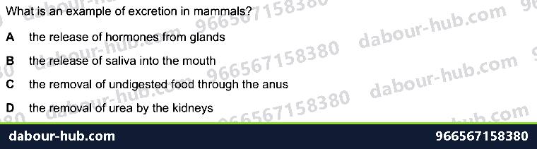 IGCSE Biology 13.1 Extractory System - Question 1