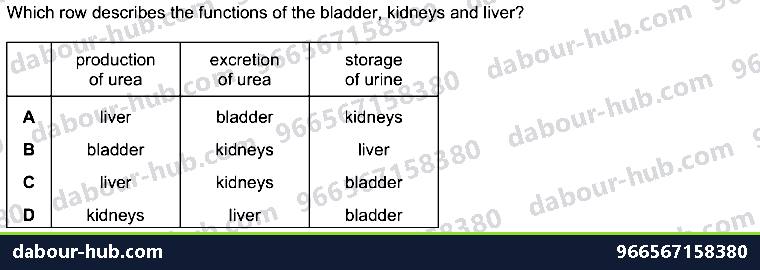 IGCSE Biology 13.1 Extractory System - Question 2