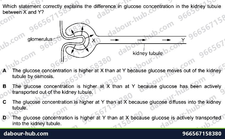 IGCSE Biology 13.3 Glomerulus, Nephrone - Question 12