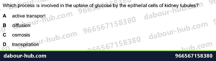 IGCSE Biology 13.3 Glomerulus, Nephrone - Question 3