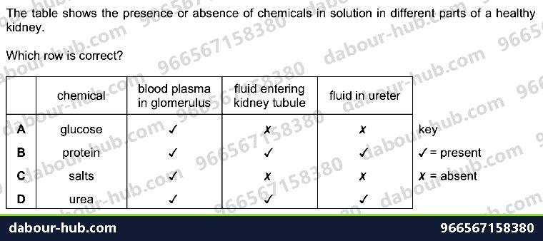 IGCSE Biology 13.3 Glomerulus, Nephrone - Question 4