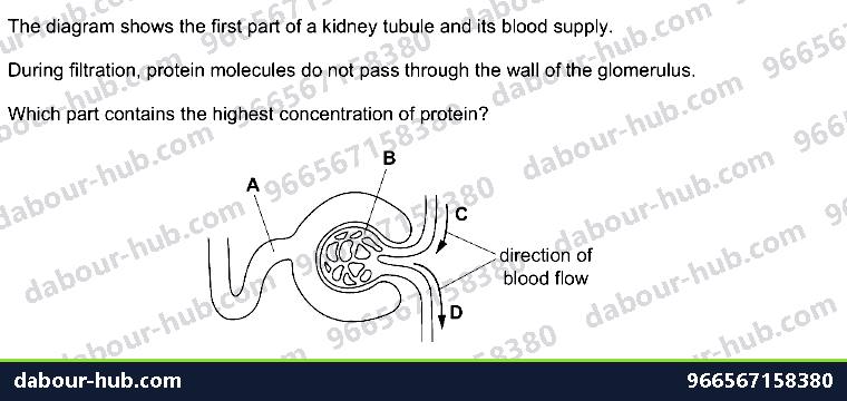 IGCSE Biology 13.3 Glomerulus, Nephrone - Question 5