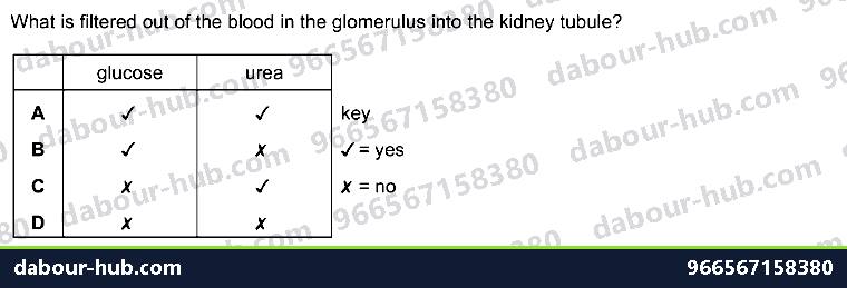 IGCSE Biology 13.3 Glomerulus, Nephrone - Question 7