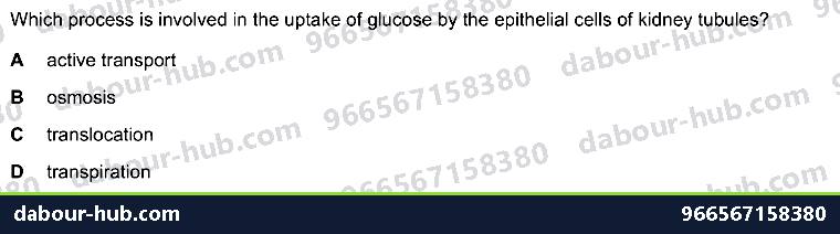 IGCSE Biology 13.3 Glomerulus, Nephrone - Question 9