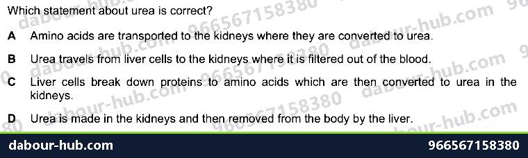 IGCSE Biology 13.4 Urea - Question 15