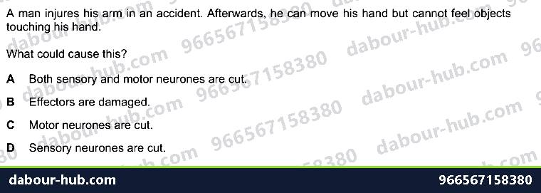 IGCSE Biology 14.1 Coordination and response - Question 3
