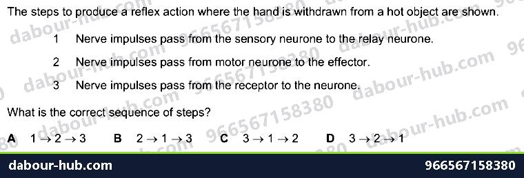 IGCSE Biology 14.2 reflex arc, ACTION - Question 2