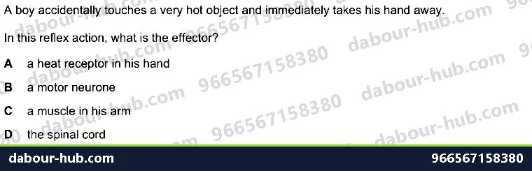 IGCSE Biology 14.2 reflex arc, ACTION - Question 6