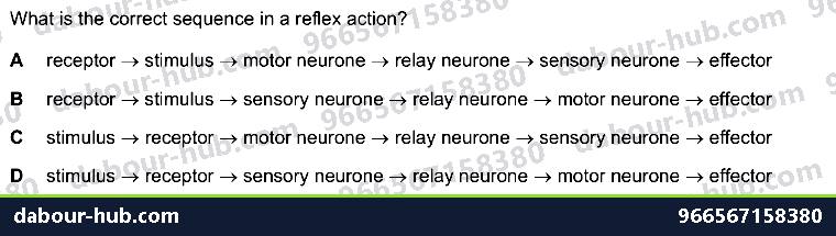 IGCSE Biology 14.2 reflex arc, ACTION - Question 8