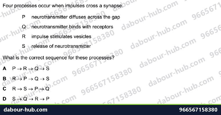 IGCSE Biology 14.3 Synapse - Question 2