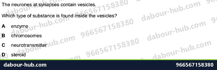 IGCSE Biology 14.3 Synapse - Question 4