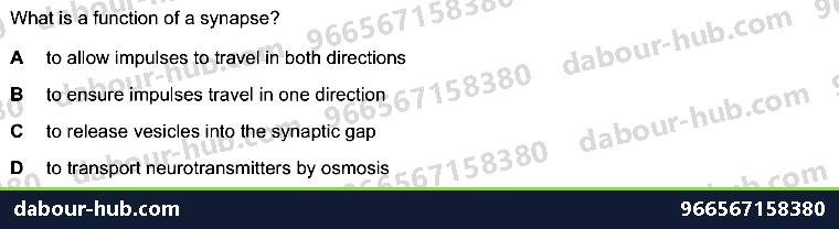 IGCSE Biology 14.3 Synapse - Question 9