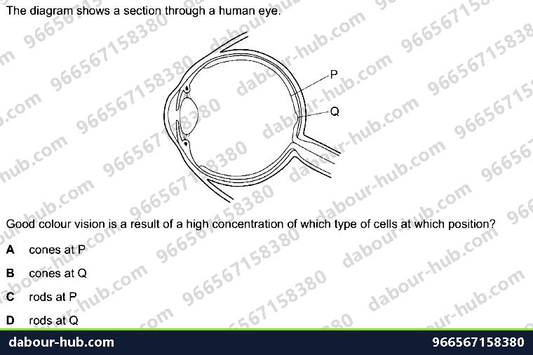 IGCSE Biology 14.4 Sense organs (EYE) - Question 3