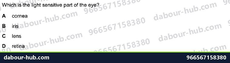 IGCSE Biology 14.4 Sense organs (EYE) - Question 7