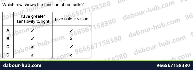 IGCSE Biology 14.4 Sense organs (EYE) - Question 8