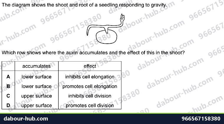 IGCSE Biology 14.7 Tropic responses - Question 10