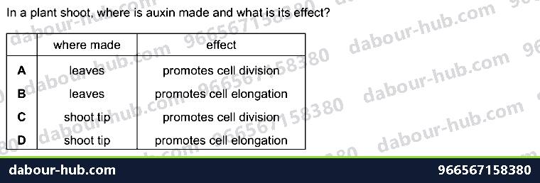 IGCSE Biology 14.7 Tropic responses - Question 11