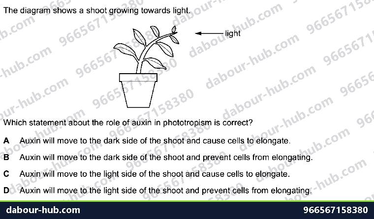 IGCSE Biology 14.7 Tropic responses - Question 12