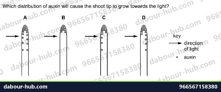 IGCSE Biology 14.7 Tropic responses - Question 23